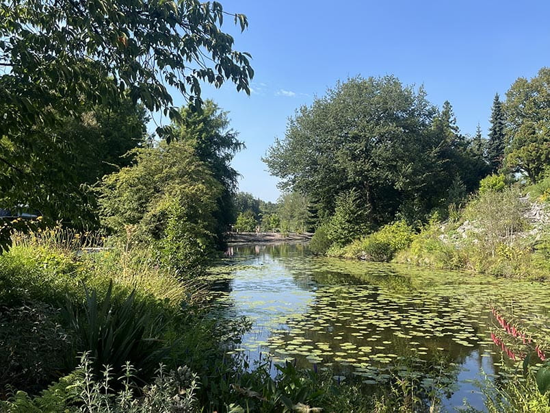 Utrecht Botanical Gardens